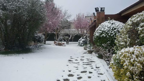 Jardinería Pedro Bautista
