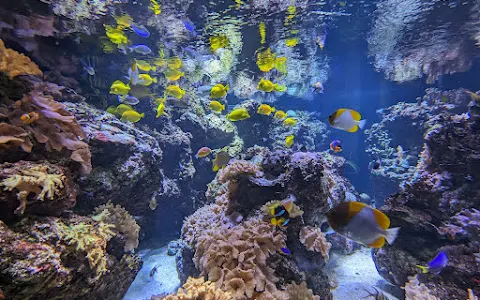 Baltimore Aquarium image