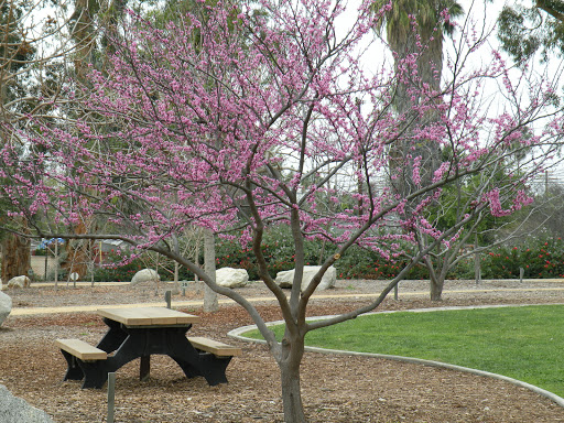 Waterwise Community Center & Chino Basin Water Conservation District image