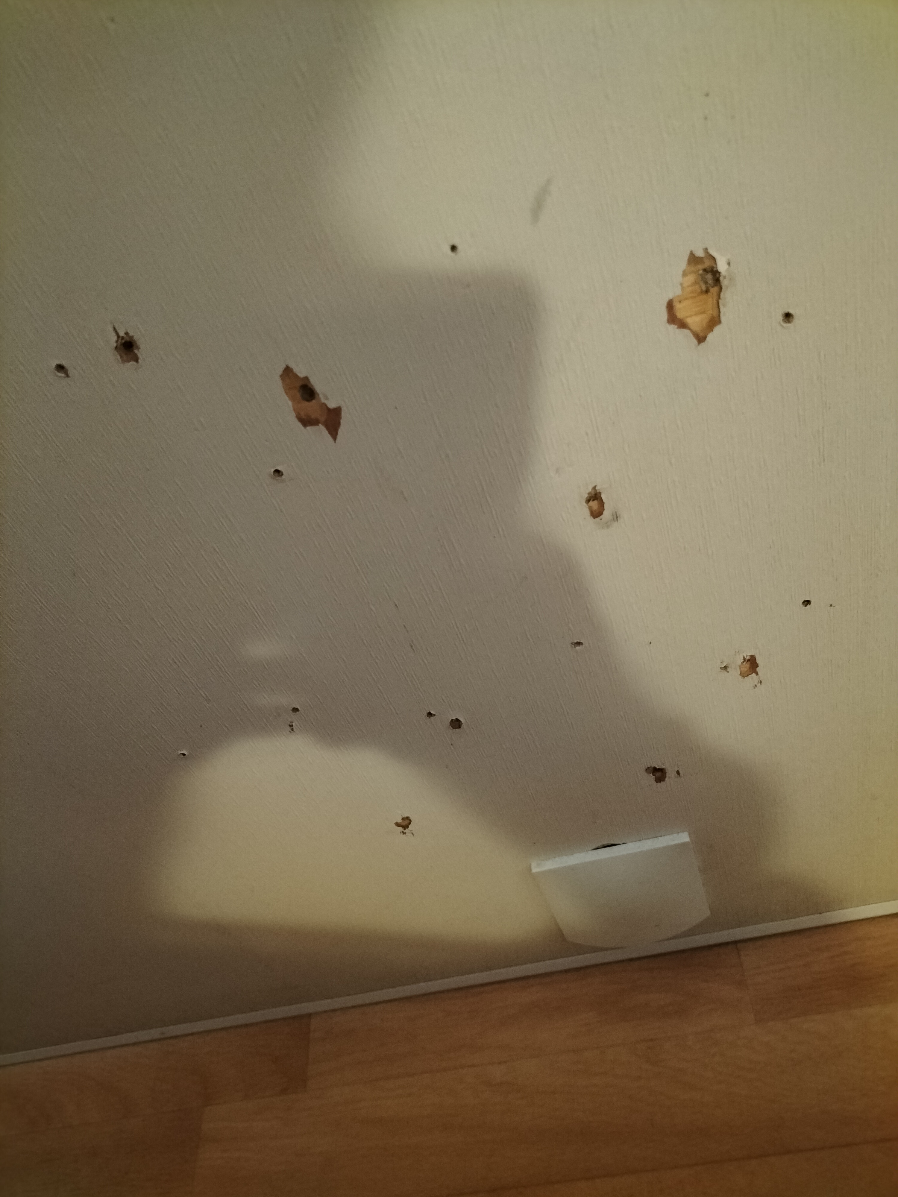 Photo n° 1 de l'avis de Noémie.a fait le 14/07/2022 à 15:25