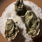 Photo n°1 de l'avis de Bjorn.a fait le 03/01/2024 à 14:41 sur le  Iter - San Giuliano Terme à San Giuliano Terme