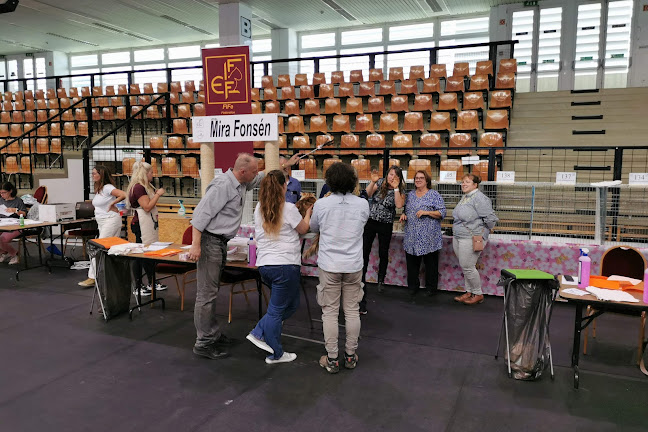 Győr, Vásárhelyi Pál u., 9026 Magyarország