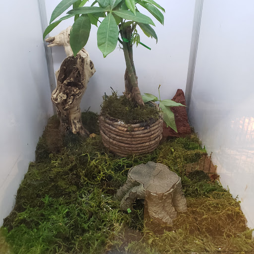 Pet Store «Planet Pet Shop», reviews and photos, 6624 Eastern Ave, Bell Gardens, CA 90201, USA