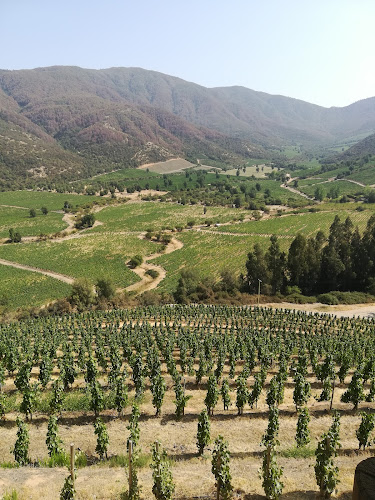 Colchagua Wine Tours - Santa Cruz