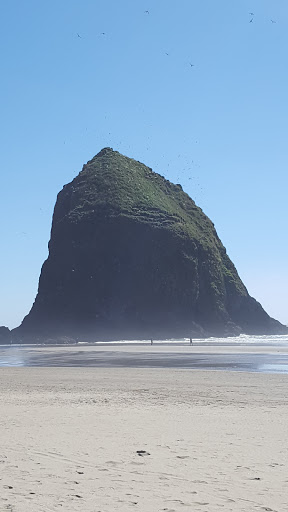 Grocery Store «Theresa Family Market», reviews and photos, 1170 S Hemlock St, Cannon Beach, OR 97110, USA