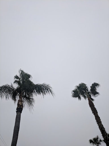 Golf Club «Jupiter Dunes Golf Club», reviews and photos, 401 N Hwy A1A, Jupiter, FL 33477, USA