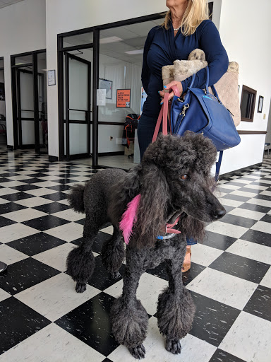 Ford Dealer «Magic City Ford Lexington», reviews and photos