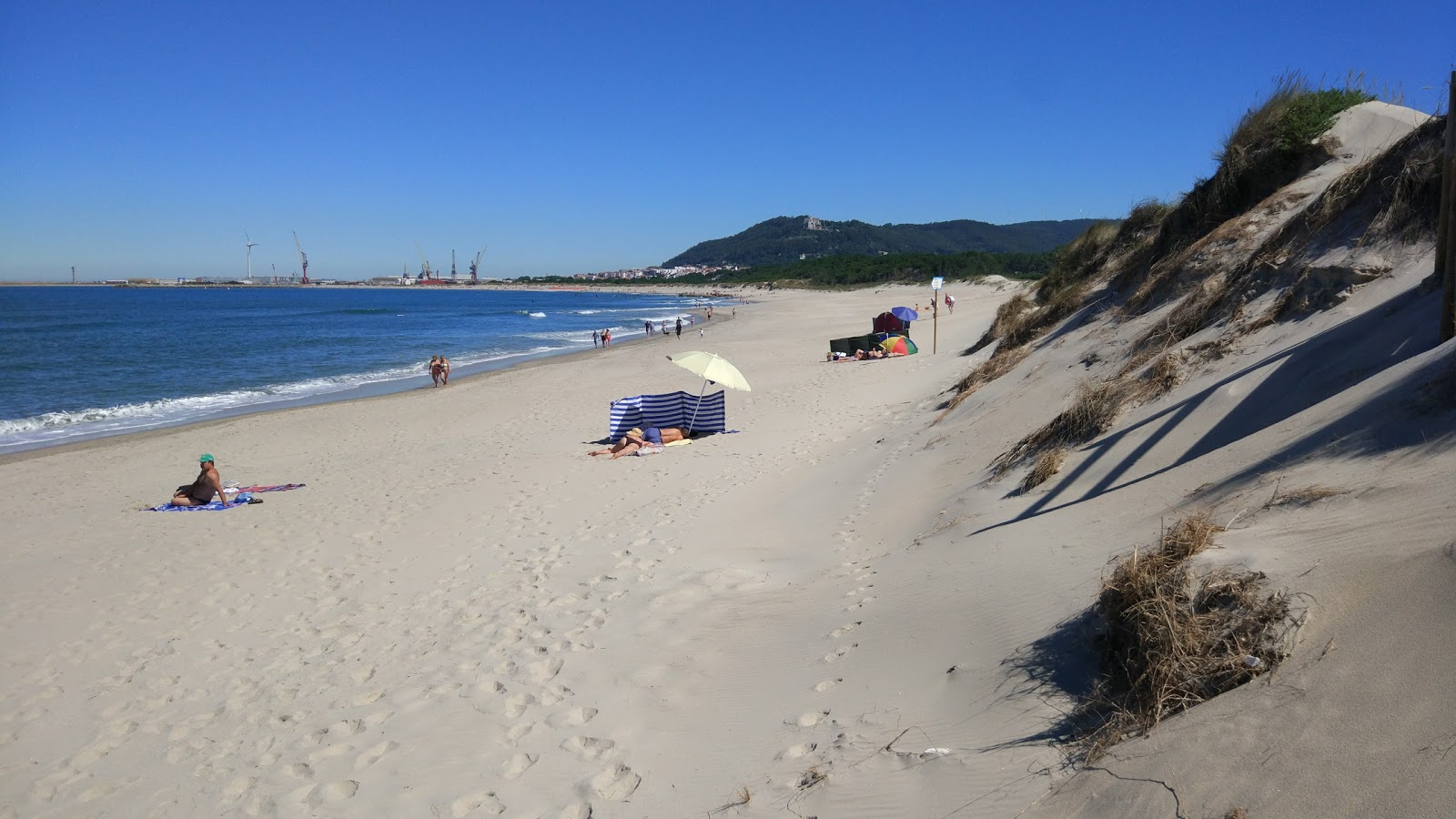 Φωτογραφία του Praia da Amorosa με μακρά ευθεία ακτή