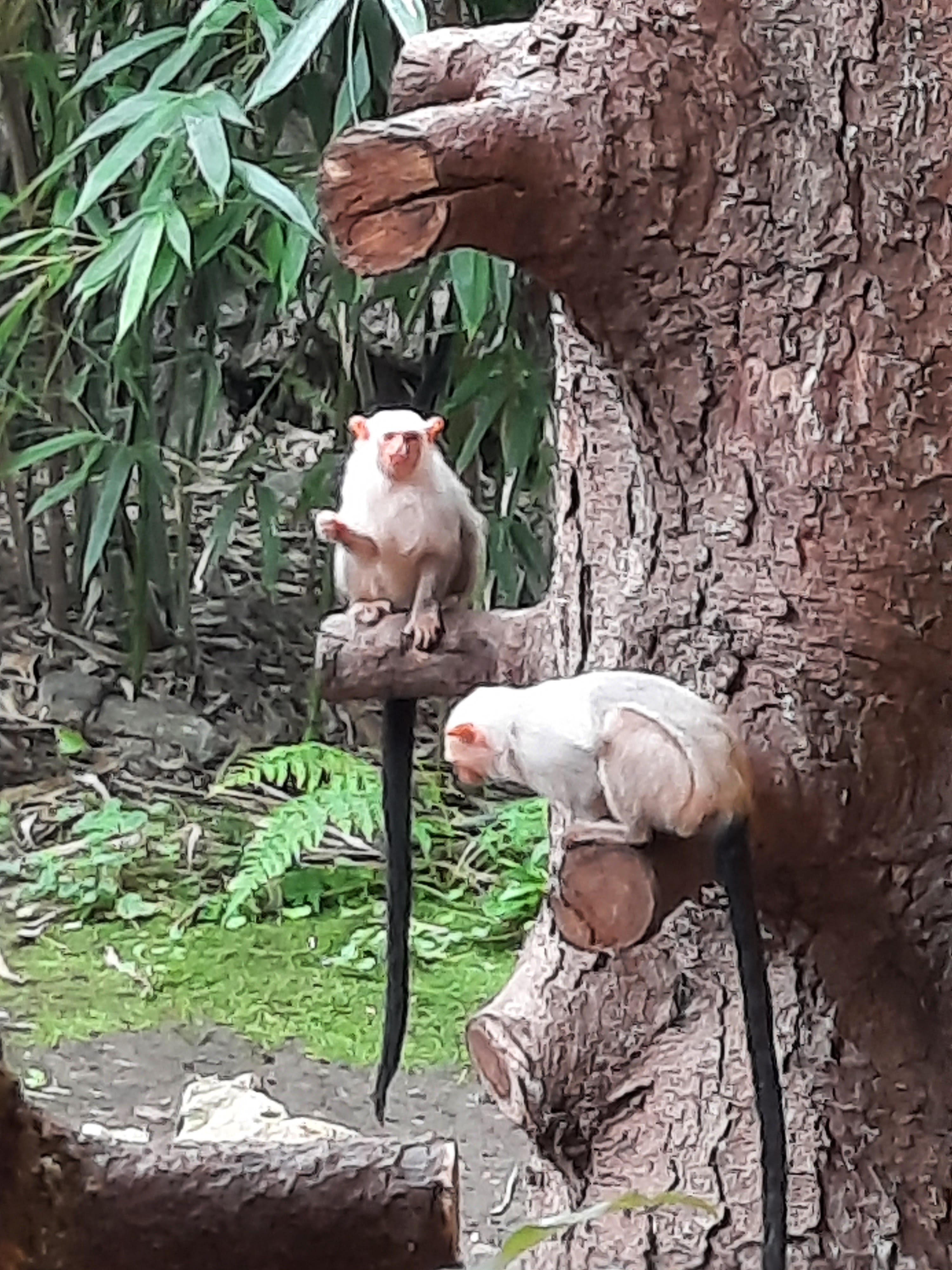 Photo n° 2 de l'avis de Gwen.i fait le 08/08/2023 à 13:19