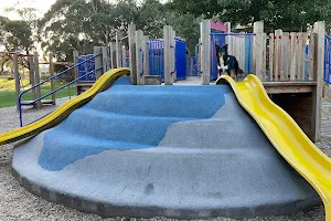 Ballam Park Reserve Playground image