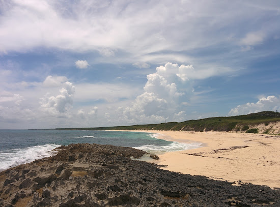 Surfer's beach