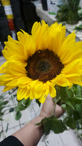 Florist «Heavenly Flowers», reviews and photos, 31 W Merrick Rd, Freeport, NY 11520, USA