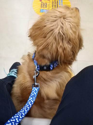 Pet Supply Store «Petco Animal Supplies», reviews and photos, 2250 Petrie Ln #518, Lanham, MD 20706, USA