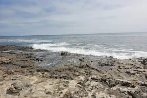 West Cliff Dr Tide Pools image