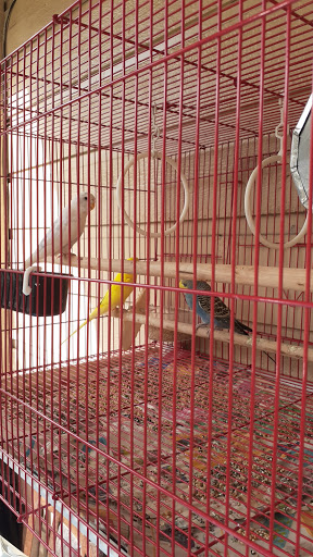 Pet Store «Fish-N-Pets Unlimited», reviews and photos, 11710 Bissonnet St, Houston, TX 77099, USA