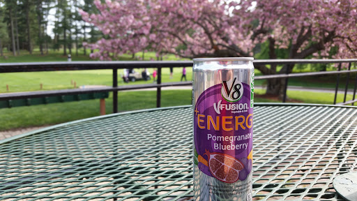 Golf Course «Pine Ridge Golf Course», reviews and photos, 2101 Dulaney Valley Road, Lutherville, MD 21093, USA