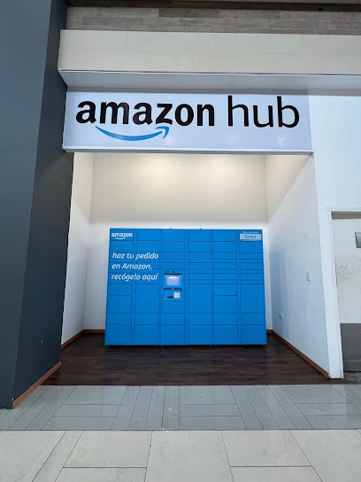 Amazon Hub Locker - Cactus