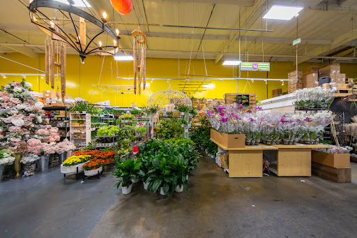 United Wholesale Flowers