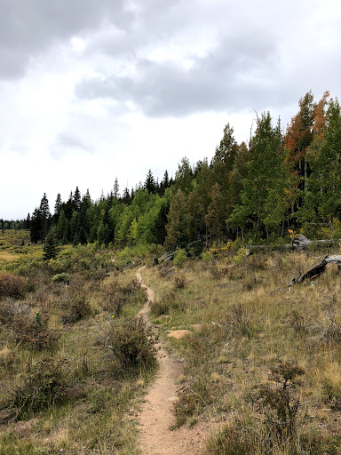 Long Gulch Trailhead