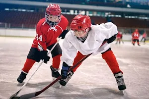 Revolution Ice Centre image