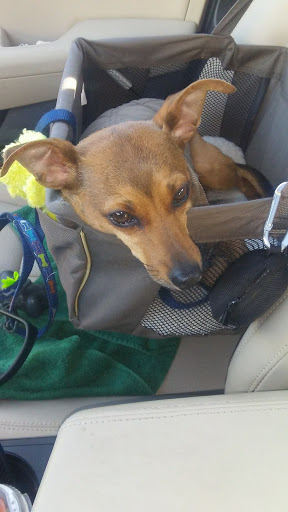 Pet Supply Store «Petco Animal Supplies», reviews and photos, 5263 Campbell Blvd, Nottingham, MD 21236, USA