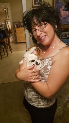 Pet Supply Store «Pet Supplies Plus», reviews and photos, 15311 Manchester Rd, Ballwin, MO 63011, USA