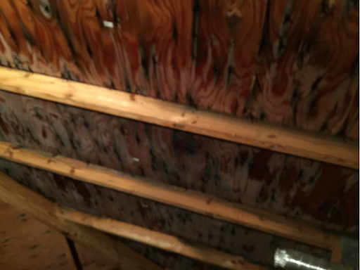 Roofing Contractor «Accredited Roofing Presents Kangaroof», reviews and photos, 10400 Lincoln Trail, Fairview Heights, IL 62208, USA