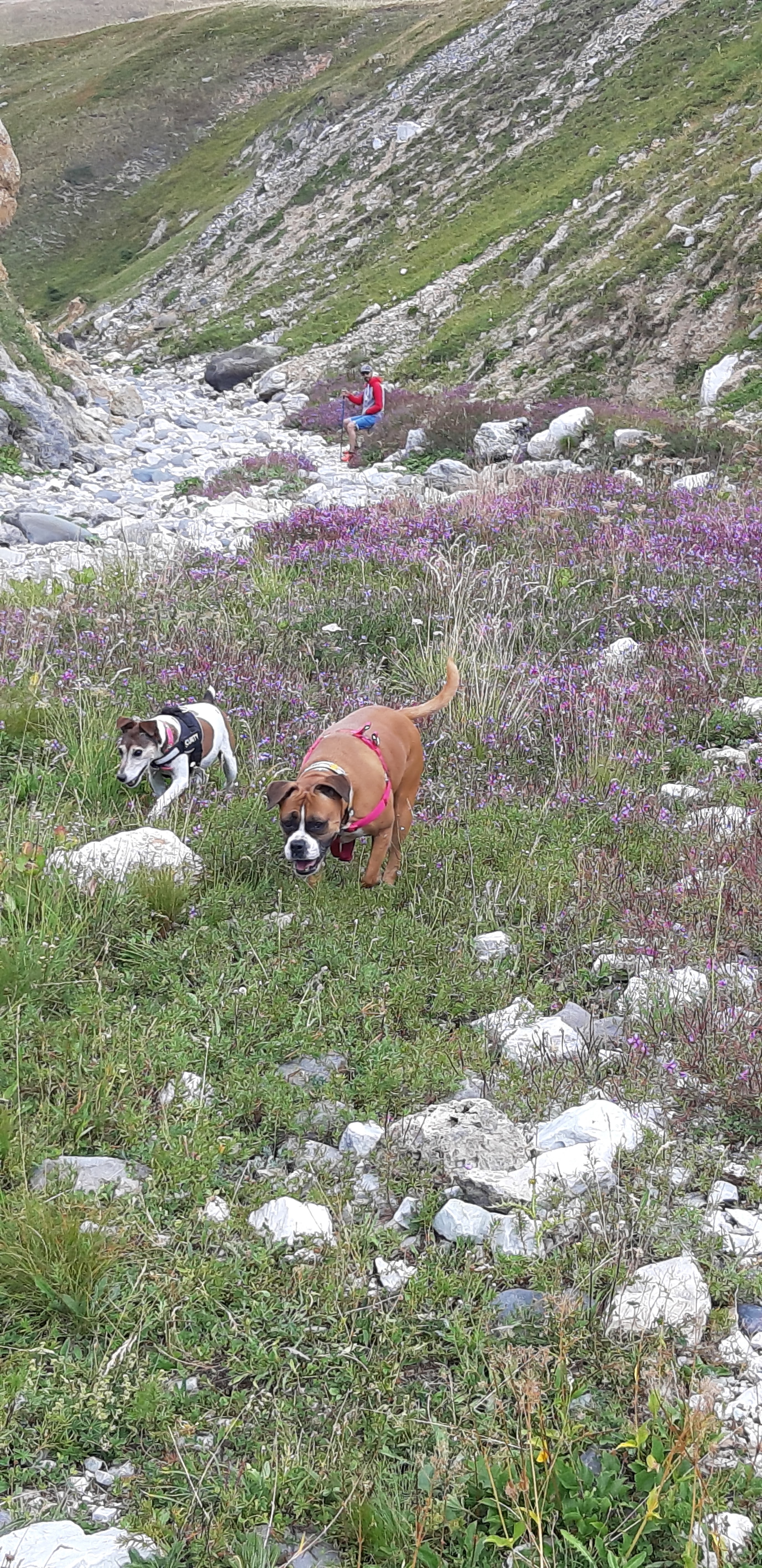 Photo n° 4 de l'avis de Isa.o fait le 20/08/2022 à 15:48