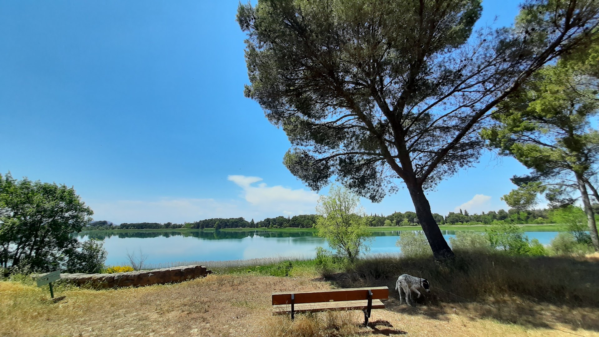 Lagunazo de Moncayuelo