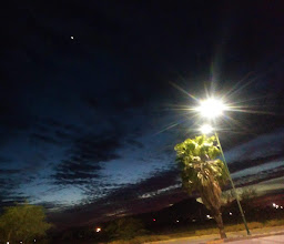 Paseos del Pedregal Park photo