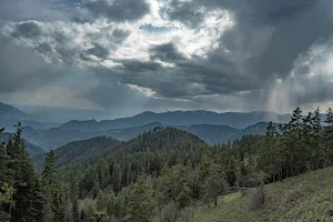 Borjomi-Kharagauli National Park Administration image