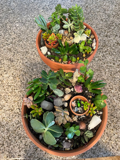 Vegan Restaurant «Trilogy Sanctuary», reviews and photos, 7650 Girard Ave #400, La Jolla, CA 92037, USA