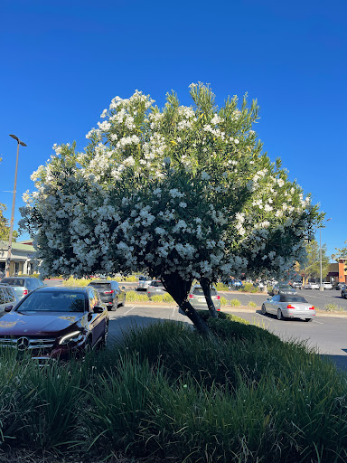 Shopping Mall «Napa Premium Outlets», reviews and photos, 629 Factory Stores Dr, Napa, CA 94558, USA