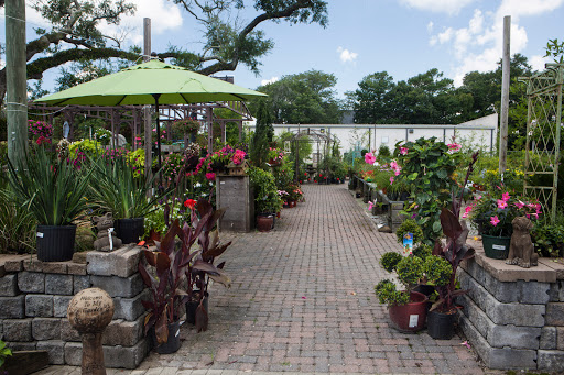 Sod Supplier «Woerner Landscape Source & Pet Supply - Pensacola», reviews and photos, 1332 Creighton Rd, Pensacola, FL 32504, USA