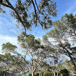 Photo n°2 de l'avis de Franco.a fait le 26/05/2023 à 09:36 sur le  Pardini 's Hermitage à Isola del Giglio