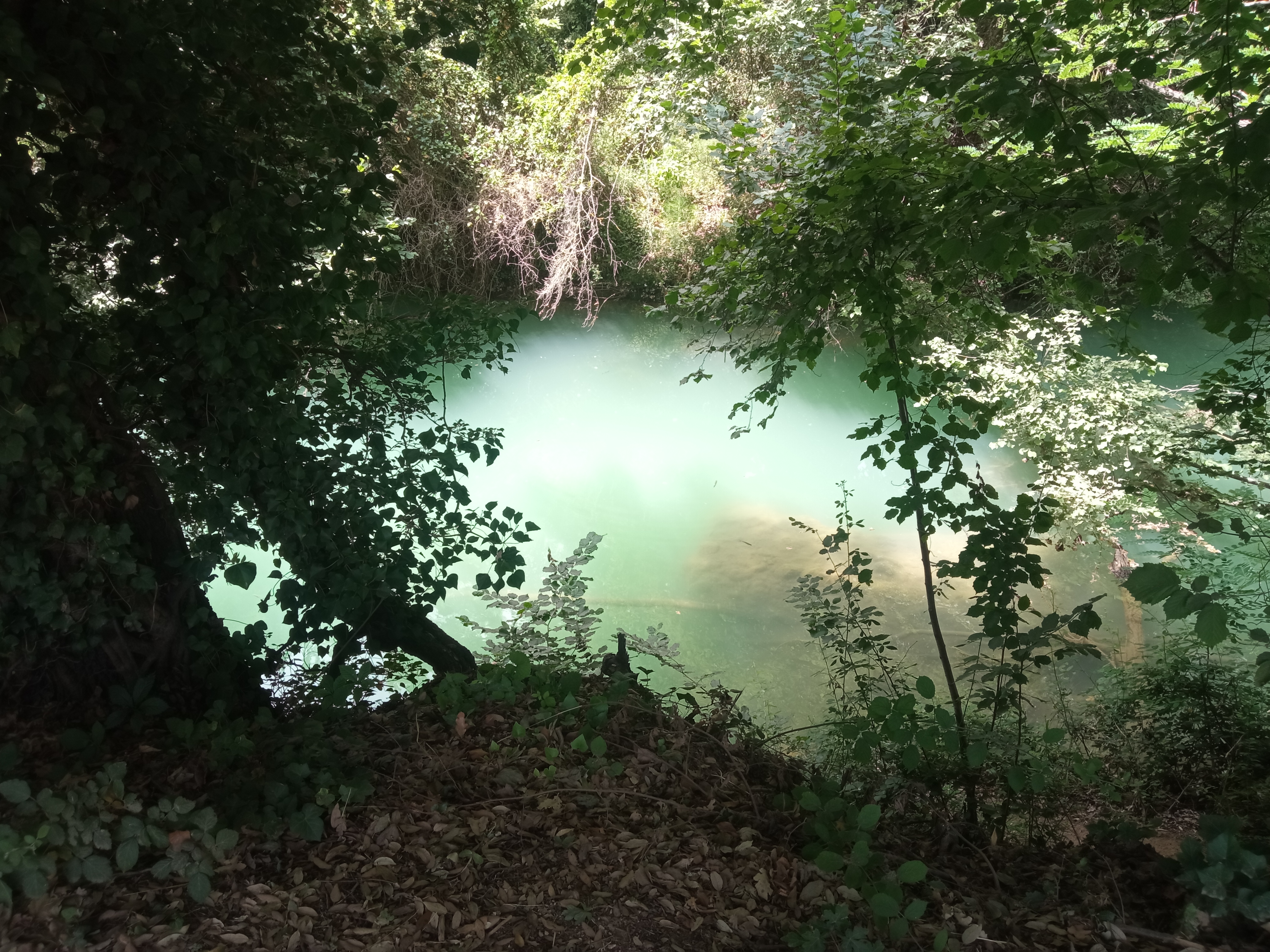 Photo n° 2 de l'avis de Lucas.e fait le 19/07/2023 à 15:01