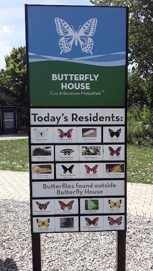 Butterfly House - photo 78