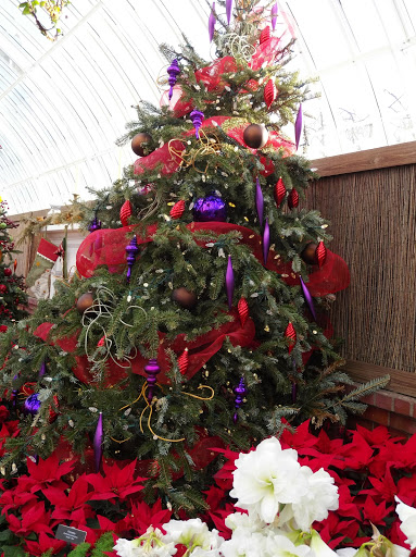 Botanical Garden «Phipps Conservatory and Botanical Gardens», reviews and photos, 1 Schenley Drive, Pittsburgh, PA 15213, USA