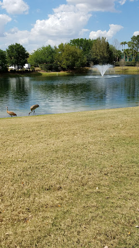 Golf Course «Orange Lake Golf», reviews and photos, 8505 W Irlo Bronson Memorial Hwy, Kissimmee, FL 34747, USA