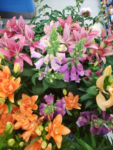 Discount Store «Walmart», reviews and photos, 465 Bridgeport Ave, Shelton, CT 06484, USA