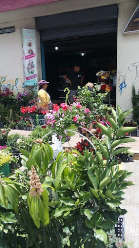Opiniones de Vivero Los Rosales en Quito - Centro de jardinería
