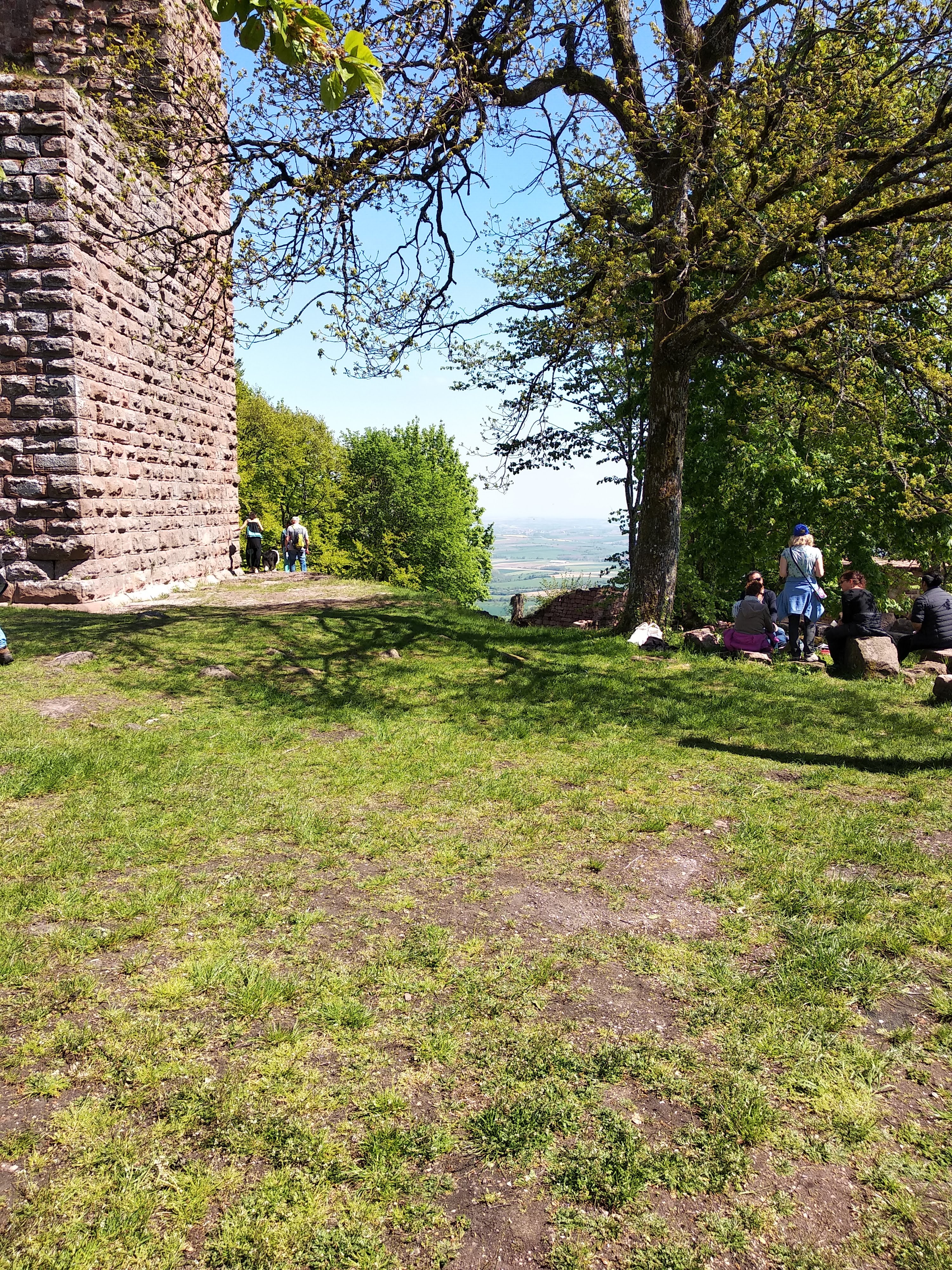 Photo n° 2 de l'avis de Pierre.o fait le 06/05/2019 à 10:40