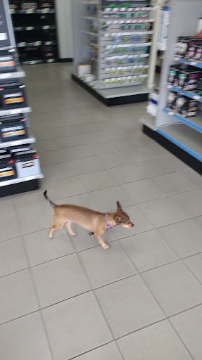 Car Battery Store «Batteries Plus Bulbs», reviews and photos, 12845 W Bell Rd, Surprise, AZ 85378, USA