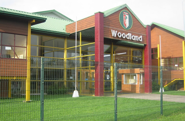 Colegio Inglés Woodland
