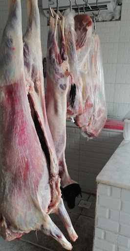 ملحمة حاشي البيداء 