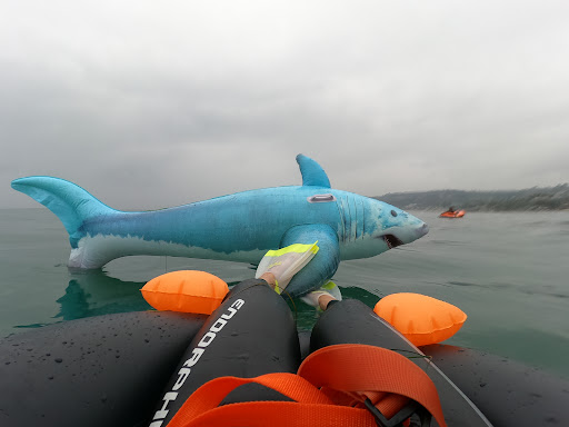 Sporting Goods Store «La Jolla Swim and Sport», reviews and photos, 1008 Torrey Pines Rd, La Jolla, CA 92037, USA