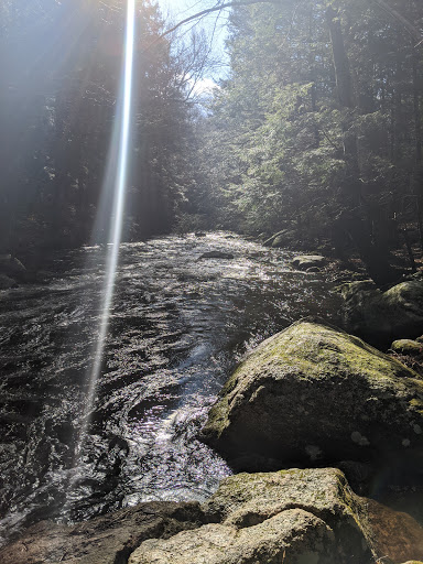 Nature Preserve «Cotton Hollow Preserve», reviews and photos, 493 Hopewell Rd, South Glastonbury, CT 06073, USA