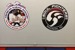 American Karate Systems image