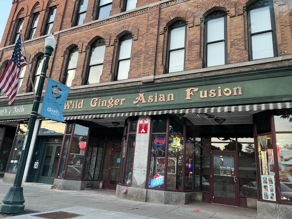 Wild Ginger Asian Fusion 13045