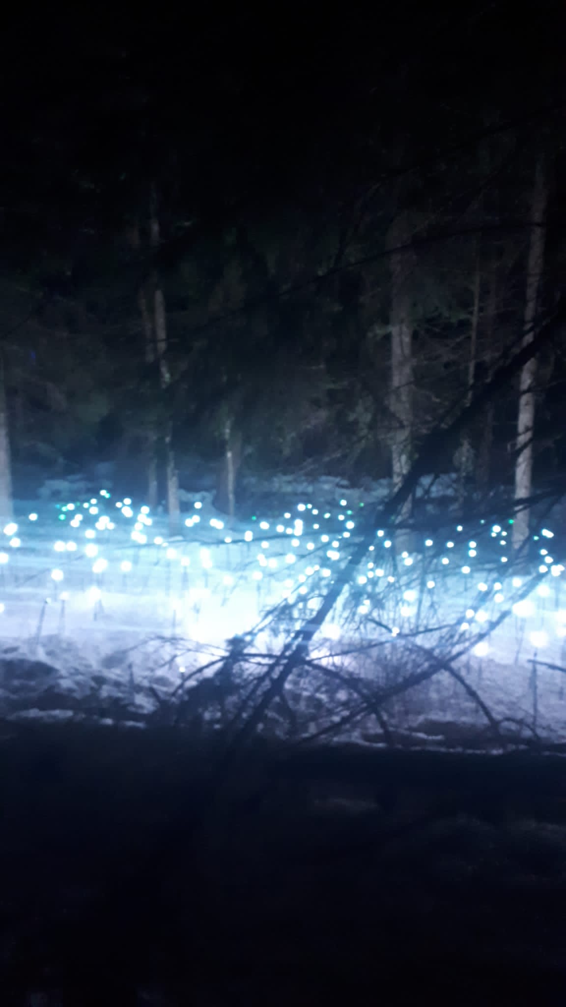 Photo n° 1 de l'avis de sebastien.e fait le 15/02/2023 à 20:20